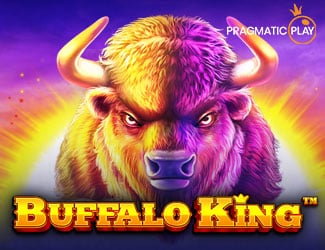 buffalo-king